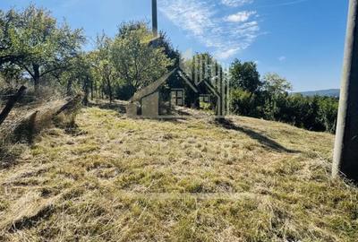 Teren de 3234 mp, în Lerești - 2