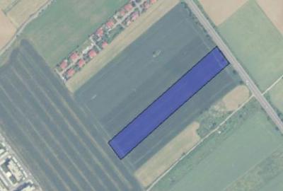 Teren de 17500 mp, în Albert - 1