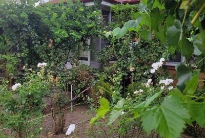 CASA SUPERBA 4 CAMERE ZONA VALU LUI TRAIAN 933MP - 4