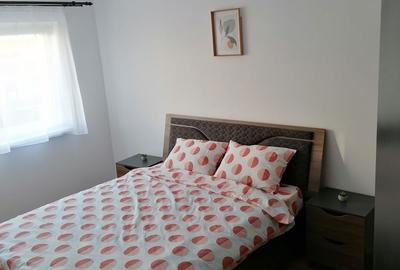 Apartament cu 2 camere decomandat în Noua - 3