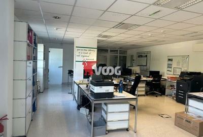 Proprietate Industriala 7000 mp hala in Calea Sagului Timisoara - 10