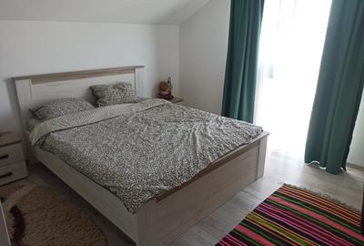 Casa D+P+E la intrare in Curtesti - 11