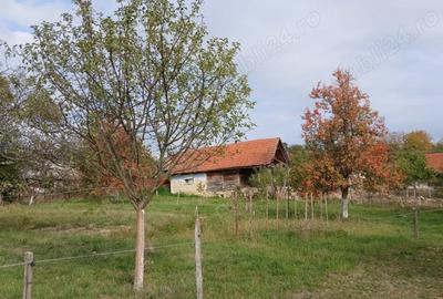 Loc de casa cu livada ?i corp de cladire - 8