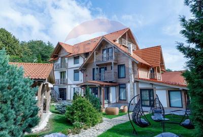 Hotel/Pensiune, 933.9 mp în Sibiel