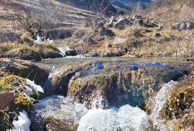 Teren de 1271 mp, în Livezile - 10