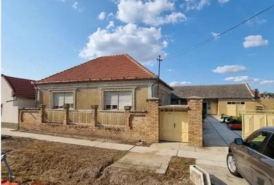 Casa cu 4 camere ?i teren 3217 mp.in Simand - Arad - 1