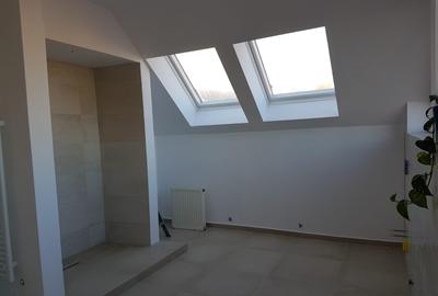 Vila pe doua niveluri pentru birouri - zona Brasovul Vechi-cod 5183 - 9