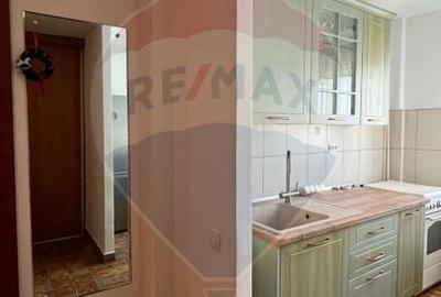 Apartament cu 2 camere - Drumul Taberei - statie Hanul Drumetului - 5