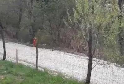 Teren de 561 mp, în Turcheș - 4