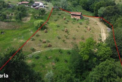 Teren de 6200 mp, în Cicănești - 10