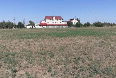 Teren de 4000 mp, în Căldărușeanca - 6