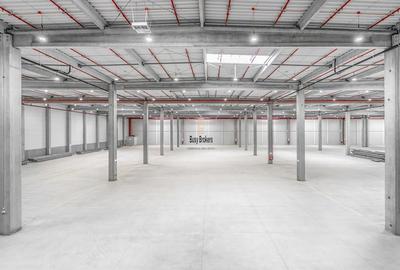 Spatiu Industrial - 5000 mp - Logistica - Productie - Depozitare - Distributie
