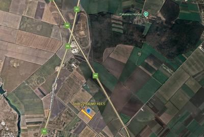 Teren agricol intravilan de 22800 mp, în Ștefăneștii de Jos - 1