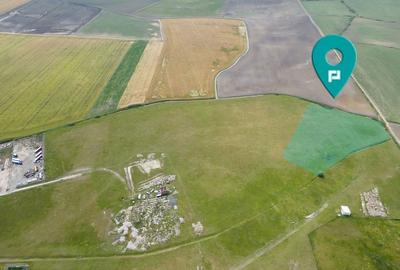 Teren intravilan de 26,606mp Sacalaz - 9