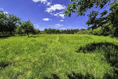 Teren intravilan Cotmeana Arges - 6