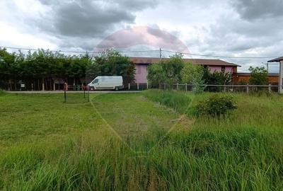 Teren 601mp Balotesti / Strada Morarilor - 4