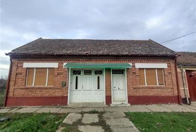 Casă individuală cu 7 camere cu Teren 540 Mp în Berliște - 22