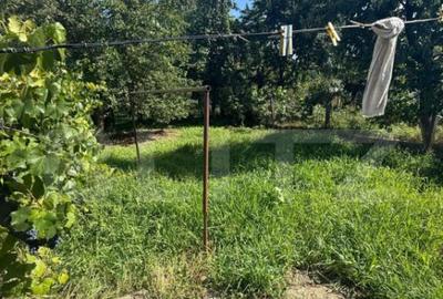 Casa cu etaj, 160 mp utili, 1352 mp teren, zona Burdujeni - 31