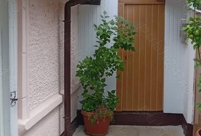 Casă cu 6 camere în Berceni - 1