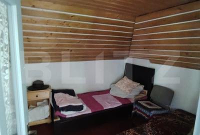 Cabana 5 camere Salard - 3