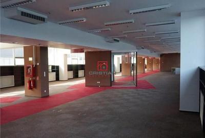 Spațiu comercial, de 400 mp, în Theodor Pallady - 3