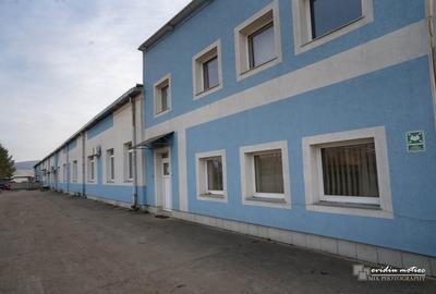 Laboratoare pentru microproductie - 7