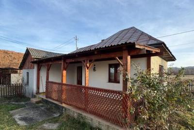 Doua case pe acela?i teren, 180 mp utili, 25 ari, ?indre? - 7