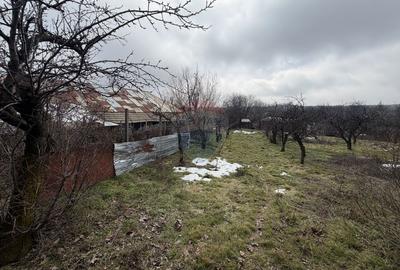 Casă cu 4 camere cu Teren 7727 Mp în Blidari (Cârligele) - 23