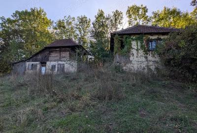Casa ?araneasca cu livada ?i gradina mare,Vata de jos,Hunedoara - 5