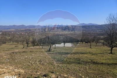 Teren de 4627 mp, în Bârsana - 9