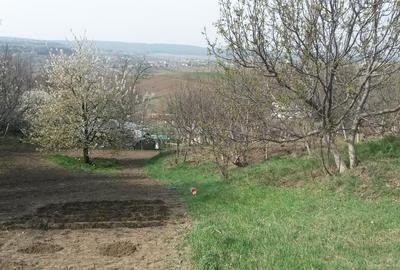 Teren Construcții intravilan de 8657 mp, în Manolești - 4