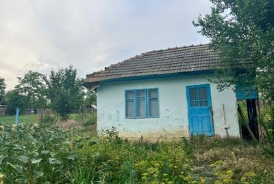 Teren Construcții intravilan de 855 mp, în Perieni