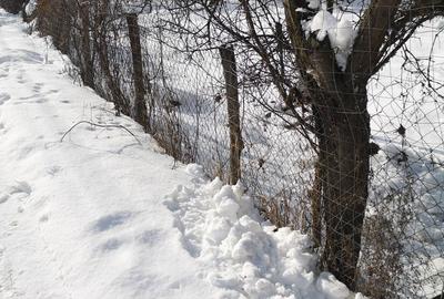 Casă cu 2 camere în Strâmtura - 7