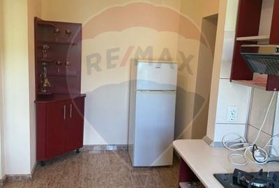 Apartament cu 2 camere decomandat, mobilat în Independenței - 10
