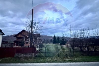 Casa de vis Valea Silistii - spatiu generos, natura si liniste deplina - 13