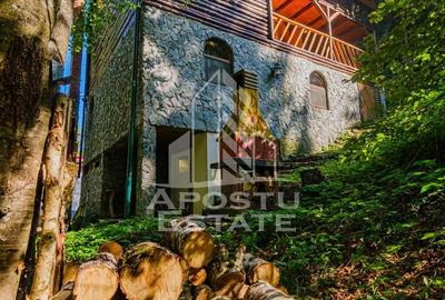 Casă cu 6 camere cu Teren 120 Mp în Râu de Mori - 14