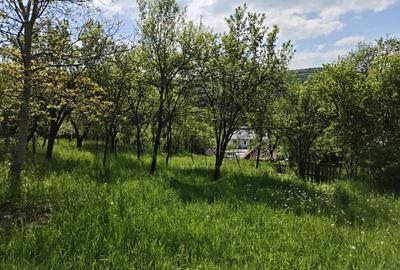 Casă individuală cu 2 camere cu Teren 1000 Mp în Exterior Sud - 17