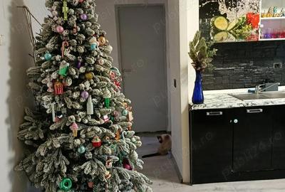 Apartament cu 2 camere decomandat în Hotvon - 10