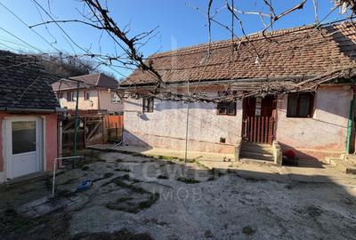 Casă individuală cu 2 camere cu Canalizare în Central - 4