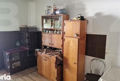 Casă cu 4 camere cu Teren 3166 Mp în Burjuc - 4