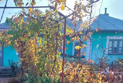 Casă de vânzare în comuna Perișor, județul Dolj - 6