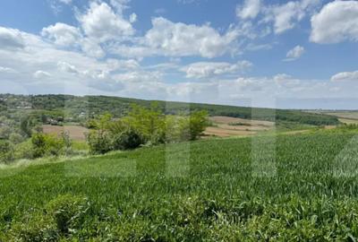 Teren în Central - 1