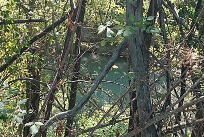 Spațiu comercial, în Ciolpani - 7