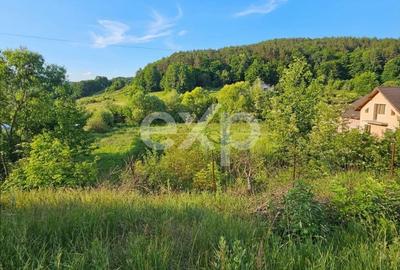 Teren Construcții intravilan de 7797 mp, în Podiș - 3