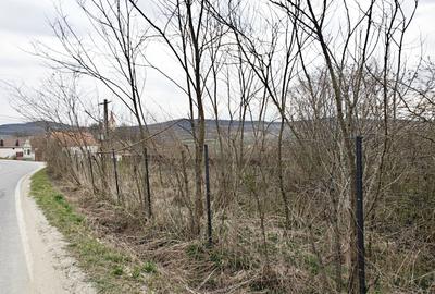 Teren Construcții intravilan de 851 mp, în Topârcea - 3