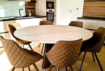 Penthouse 5 camere Kiseleff - 9