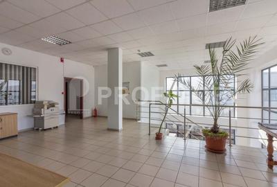Vanzare hala de depozitare + birouri P+1 Otopeni - 11