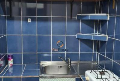 Garsoniera Spatioasa zona Blascovici - 13