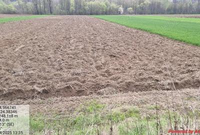 Casă cu 1 camere cu Teren 15000 Mp în Central - 6