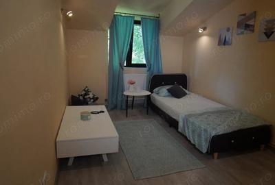 Casă cu Canalizare în Iosefin - 5